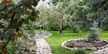 Фотографии Гостевой дом Evergreen Guesthouse г. Каракол (Киргизия) №4 Фото Гостевой дом Evergreen Guesthouse г. Каракол 4