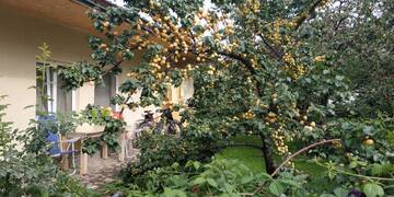 Фотографии Гостевой дом Evergreen Guesthouse г. Каракол (Киргизия) №2 Фото Гостевой дом Evergreen Guesthouse г. Каракол 2