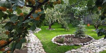 Фотографии Гостевой дом Evergreen Guesthouse г. Каракол (Киргизия) №3 Фото Гостевой дом Evergreen Guesthouse г. Каракол 3
