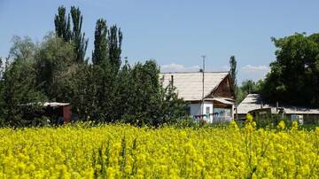 Фотографии Проживание в семье Guesthouse Smiling Aida г. Каракол (Киргизия) №1 Фото Проживание в семье Guesthouse Smiling Aida г. Каракол 1