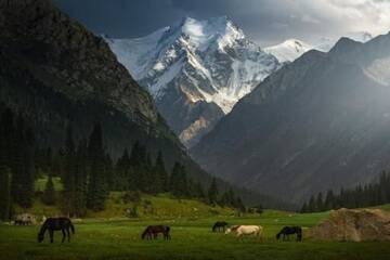 Фотографии Кемпинги Green zone г. Каракол (Киргизия) №5 Фото Кемпинги Green zone г. Каракол 5