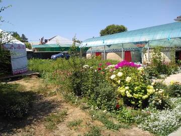 Фото номера Четырехместный номер в японском стиле Кемпинги Karakol Yurt Lodge г. Каракол 2