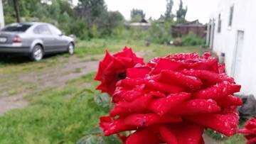 Фотографии Гостевой дом Guest house Krasnii Zvetok г. Каракол (Киргизия) №1 Фото Гостевой дом Guest house Krasnii Zvetok г. Каракол 1