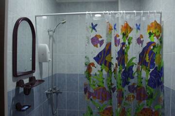 Фото номера Двухместный номер с 1 кроватью или 2 отдельными кроватями и ванной комнатой Хостелы Snow Leopard Hostel г. Каракол 4